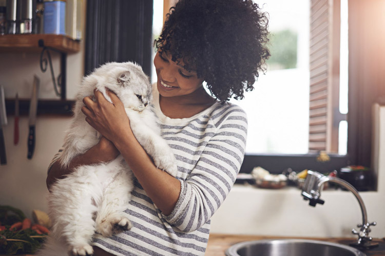 Kedi Sahiplerinin Hayatını Kolaylaştıracak Öneriler