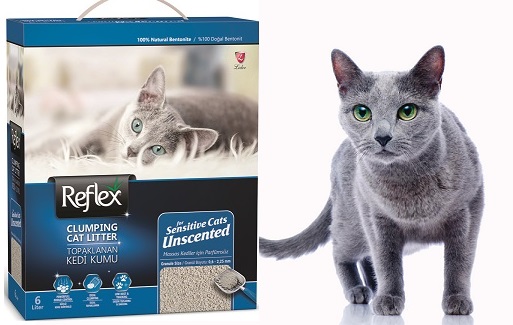 Reflex Kedi Kumu Yorum - Kedi Kumu Önerisi