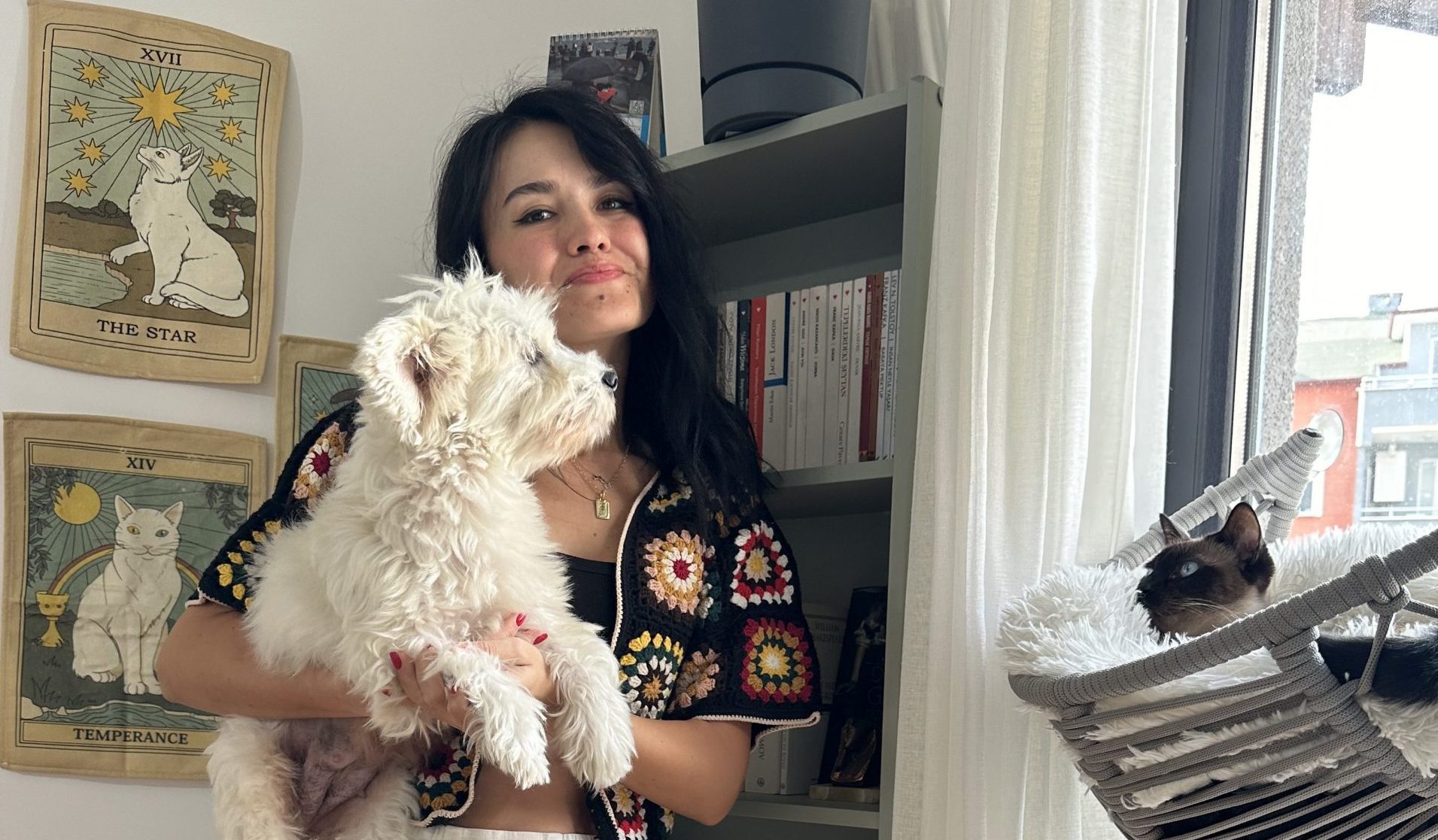2025 Kedi ve Köpek Bakım Maliyetleri; Yıllık Karşılaştırma