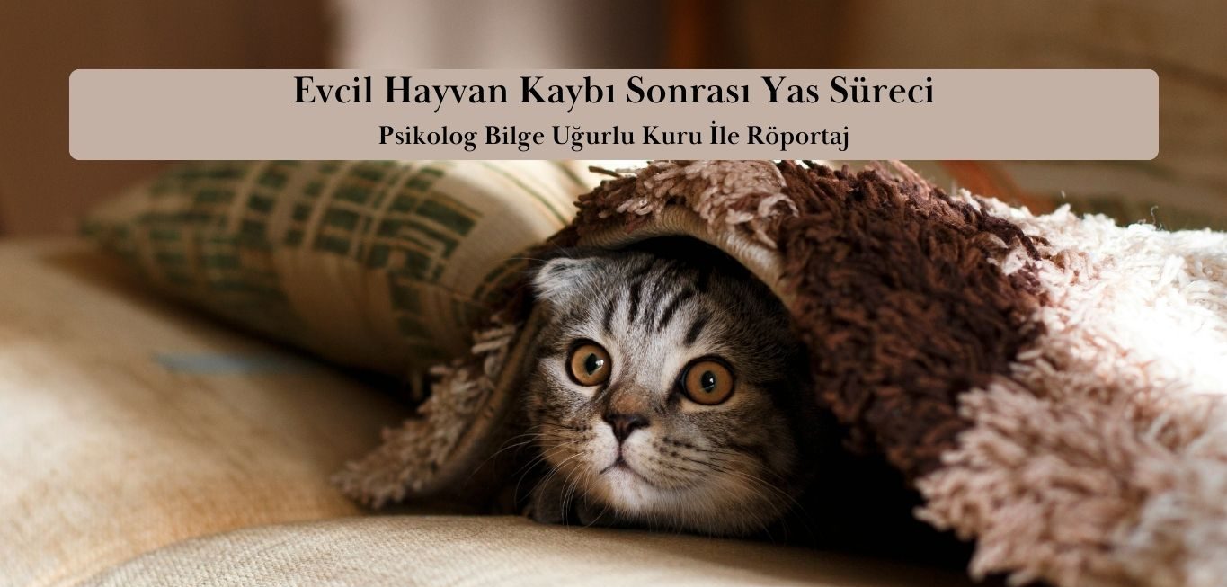 Evcil Hayvan Kaybı: Yas Süreci ve Başa Çıkma Yolları