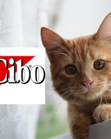BonaCibo Kedi Maması Yorum – Temizmama