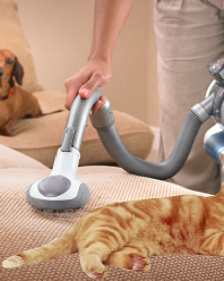 Kedi Tüyü İçin Şarjlı El Süpürgesi Black And Decker